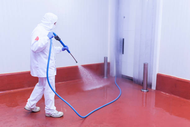 Best Soft Washing  in Merlin, OR